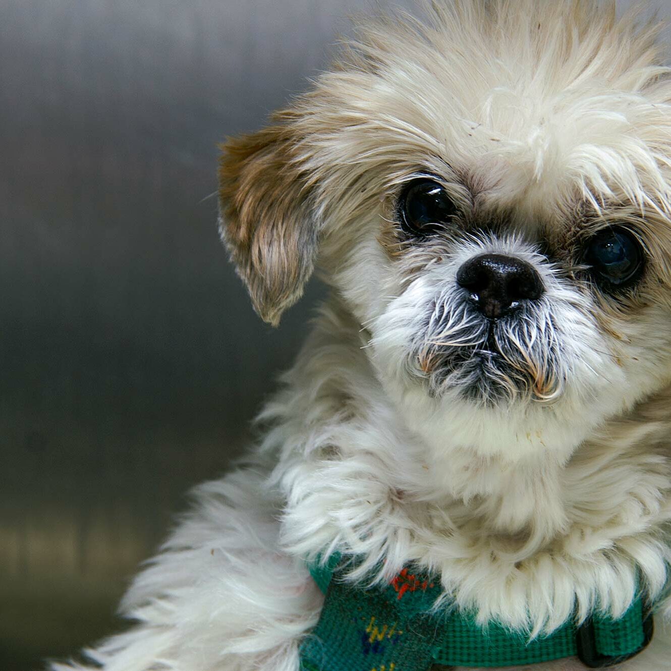 Tagesklinik für Diagnostik & Therapie Chemnitz