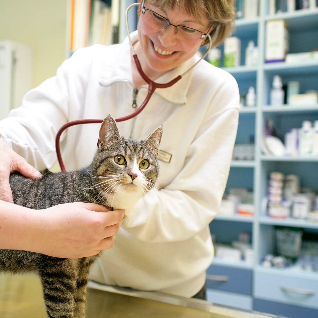 Tagesklinik für Diagnostik & Therapie Chemnitz