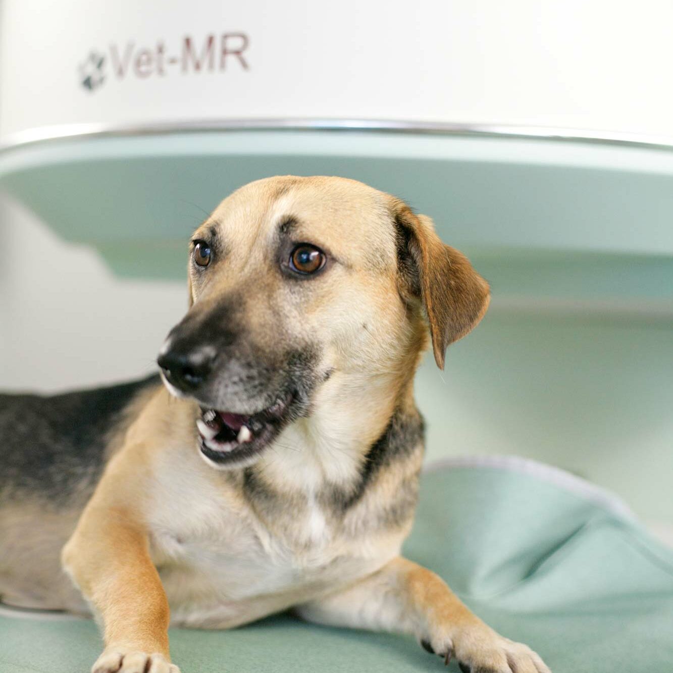 Tagesklinik für Diagnostik & Therapie Chemnitz